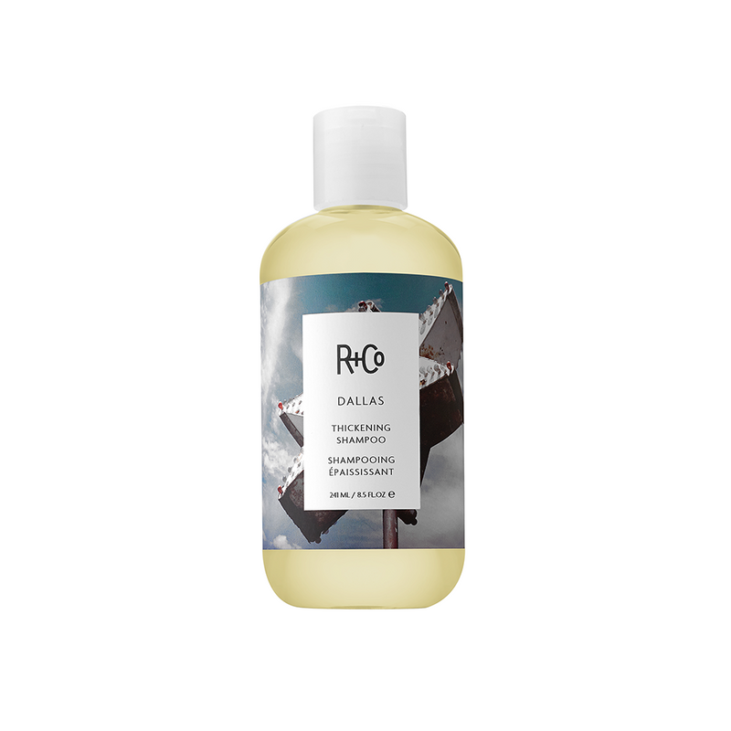 R + Co Badlands Dry Shampoo Paste